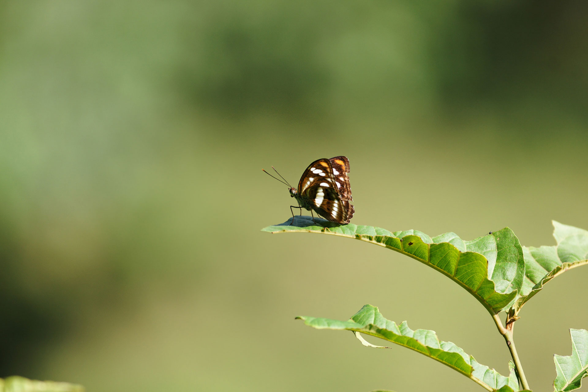 Wanderung im Süden von Vang Vieng